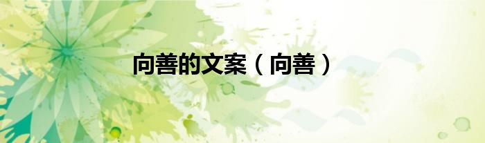 向善的文案（向善）