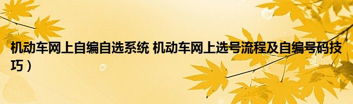 机动车网上自编自选系统 机动车网上选号流程及自编号码技巧）