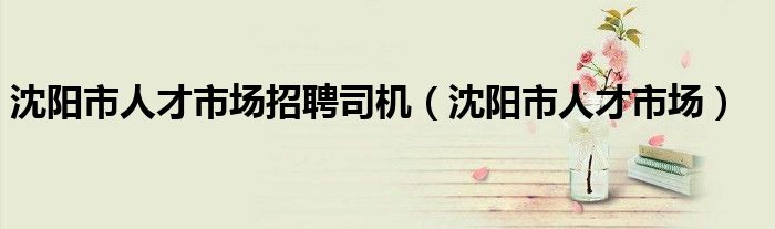 沈阳市人才市场招聘司机（沈阳市人才市场）