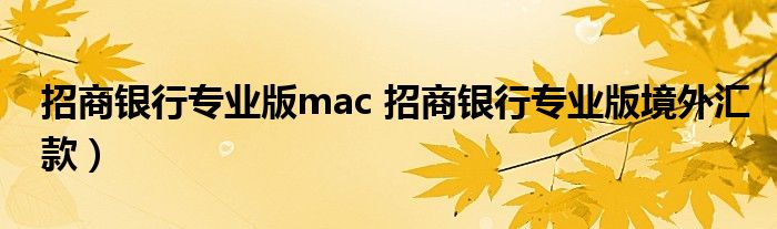 招商银行专业版mac 招商银行专业版境外汇款）