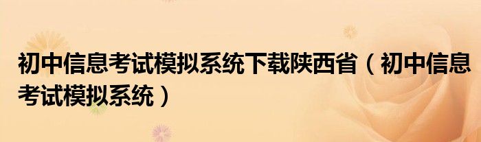 初中信息考试模拟系统下载陕西省（初中信息考试模拟系统）
