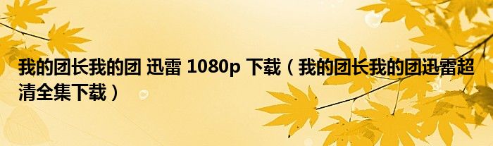 我的团长我的团 迅雷 1080p 下载（我的团长我的团迅雷超清全集下载）