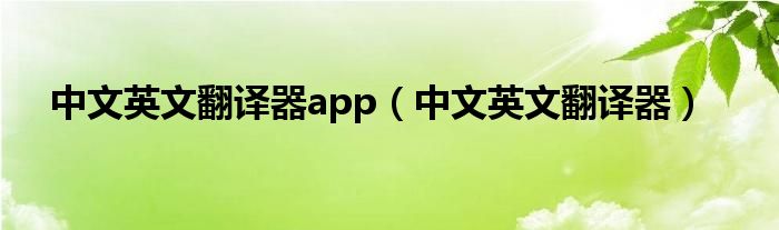 中文英文翻译器app（中文英文翻译器）