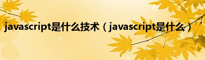 javascript是什么技术（javascript是什么）