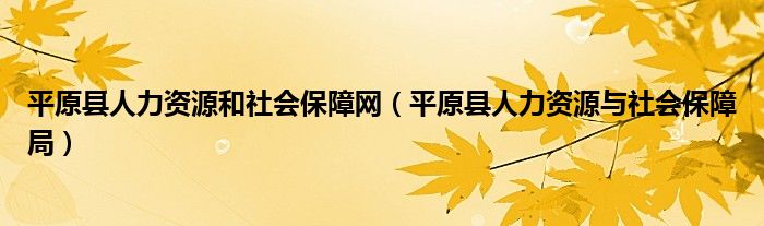 平原县人力资源和社会保障网（平原县人力资源与社会保障局）