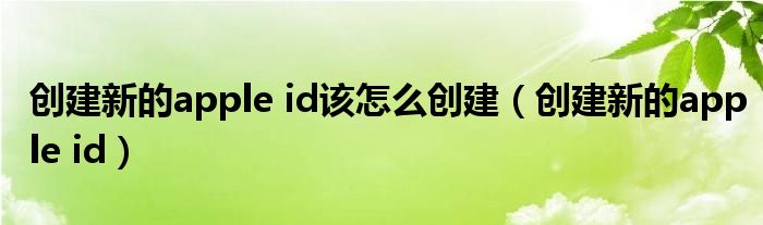 创建新的apple id该怎么创建（创建新的apple id）