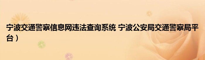 宁波交通警察信息网违法查询系统 宁波公安局交通警察局平台）