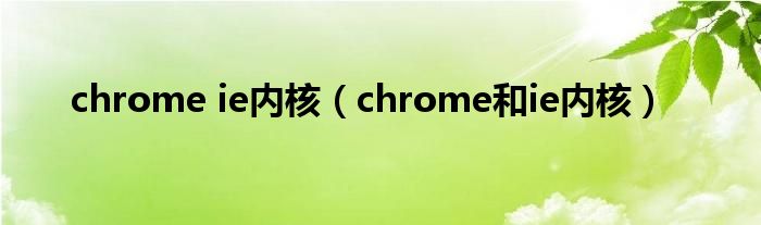 chrome ie内核（chrome和ie内核）