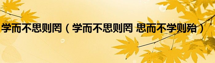 学而不思则罔（学而不思则罔 思而不学则殆）