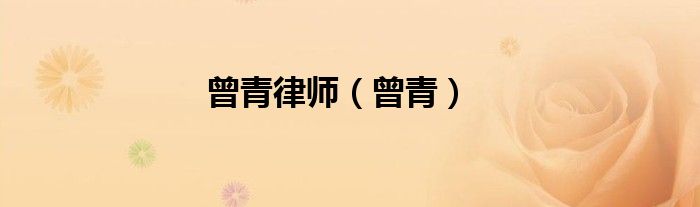 曾青律师（曾青）
