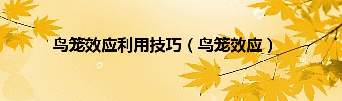 鸟笼效应利用技巧（鸟笼效应）