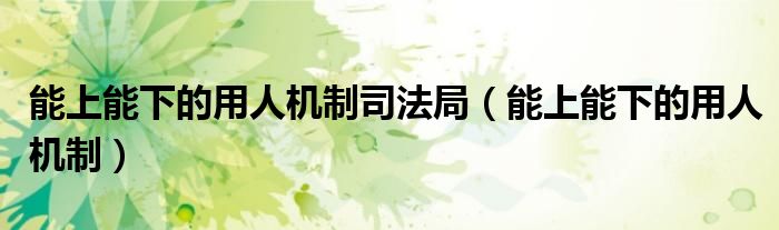 能上能下的用人机制司法局（能上能下的用人机制）