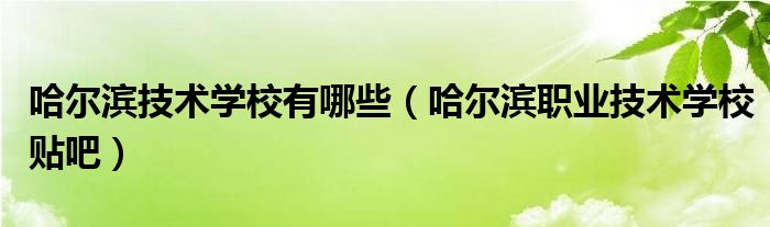 哈尔滨技术学校有哪些（哈尔滨职业技术学校贴吧）