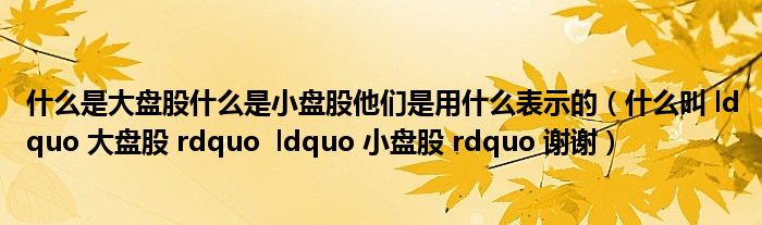 什么是大盘股什么是小盘股他们是用什么表示的（什么叫 ldquo 大盘股 rdquo  ldquo 小盘股 rdquo 谢谢）