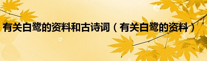 有关白鹭的资料和古诗词（有关白鹭的资料）