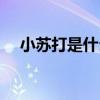 小苏打是什么化学成分（小苏打是什么）