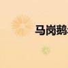 马岗鹅年产蛋多少枚（马岗鹅）