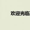 欢迎光临英文插曲（欢迎光临英文）