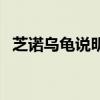 芝诺乌龟说明了什么哲学问题（芝诺乌龟）