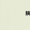 陕西柿子 陕西柿子树