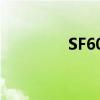 SF6000发电机（sf6000）