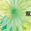 双翼机型号（双翼机）