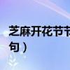 芝麻开花节节高上一句（芝麻开花节节高下一句）