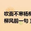 吹面不寒杨柳风前一句的诗是啥（吹面不寒杨柳风前一句）