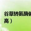 谷草转氨酶偏高吃什么食物好（谷草转氨酶偏高）