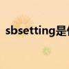 sbsetting是什么 sbsetting是什么怎么样）