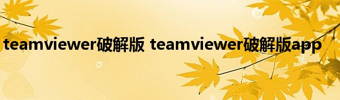 teamviewer破解版 teamviewer破解版app