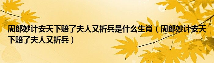 周郎妙计安天下赔了夫人又折兵是什么生肖（周郎妙计安天下赔了夫人又折兵）