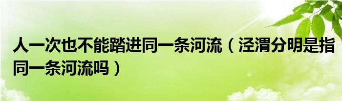 人一次也不能踏进同一条河流（泾渭分明是指同一条河流吗）