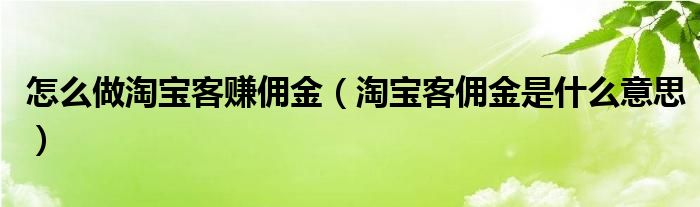 怎么做淘宝客赚佣金（淘宝客佣金是什么意思）