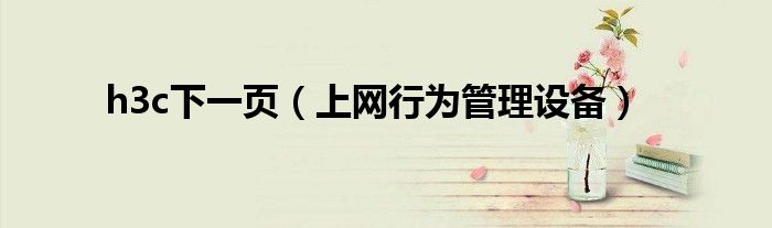 h3c下一页（上网行为管理设备）