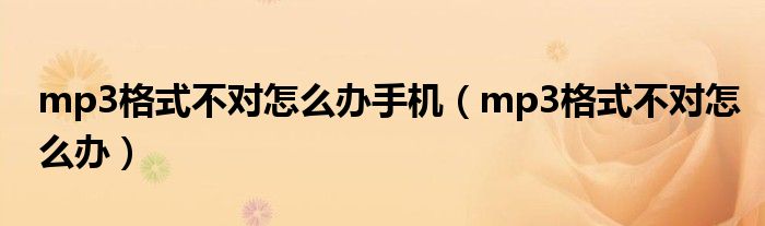 mp3格式不对怎么办手机（mp3格式不对怎么办）