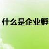 什么是企业孵化器项目（什么是企业孵化器）