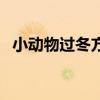 小动物过冬方式记录表（小动物过冬方式）