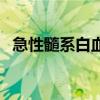 急性髓系白血病能治吗（急性髓性白血病）