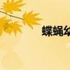 蝶蝇幼虫对人的危害（蝶蝇）