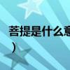 菩提是什么意思一叶一菩提（菩提是什么意思）