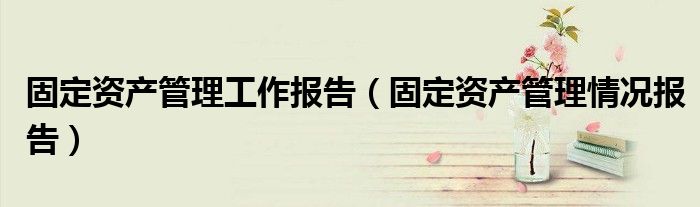 固定资产管理工作报告（固定资产管理情况报告）