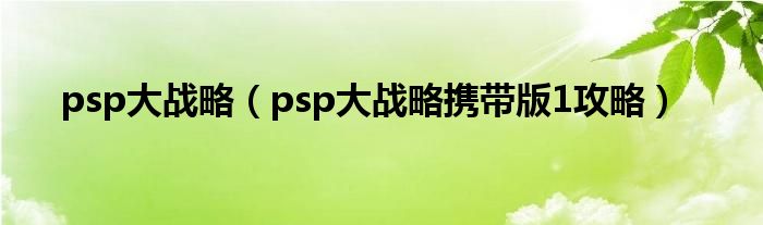 psp大战略（psp大战略携带版1攻略）