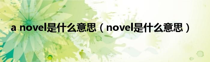 a novel是什么意思（novel是什么意思）