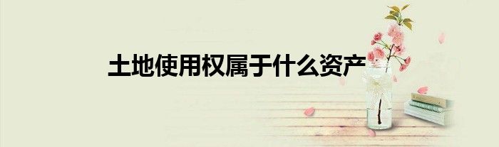 土地使用权属于什么资产