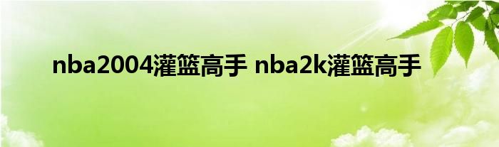 nba2004灌篮高手 nba2k灌篮高手