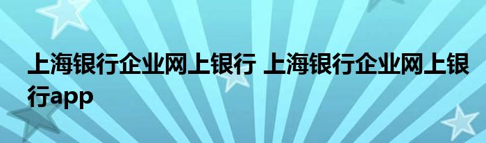 上海银行企业网上银行 上海银行企业网上银行app