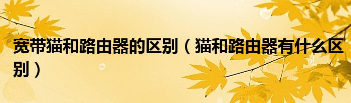 宽带猫和路由器的区别（猫和路由器有什么区别）