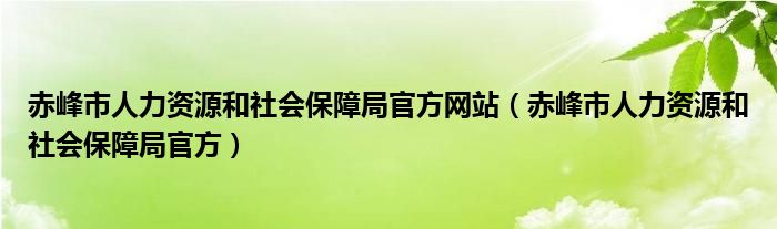 赤峰市人力资源和社会保障局官方网站（赤峰市人力资源和社会保障局官方）