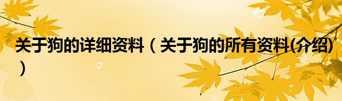 关于狗的详细资料（关于狗的所有资料(介绍)）